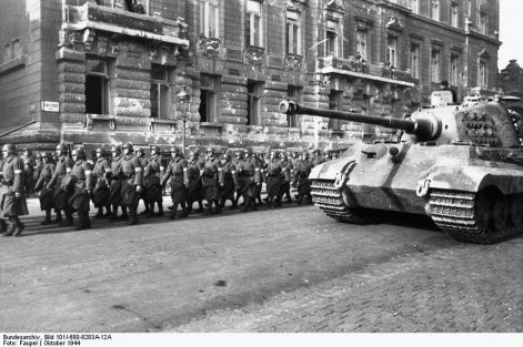 d_101i-680-8283a-12a_budapest_marschierende_pfeilkreuzler_und_panzer_vi.jpg